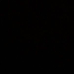 Meet your Posher, Gavin